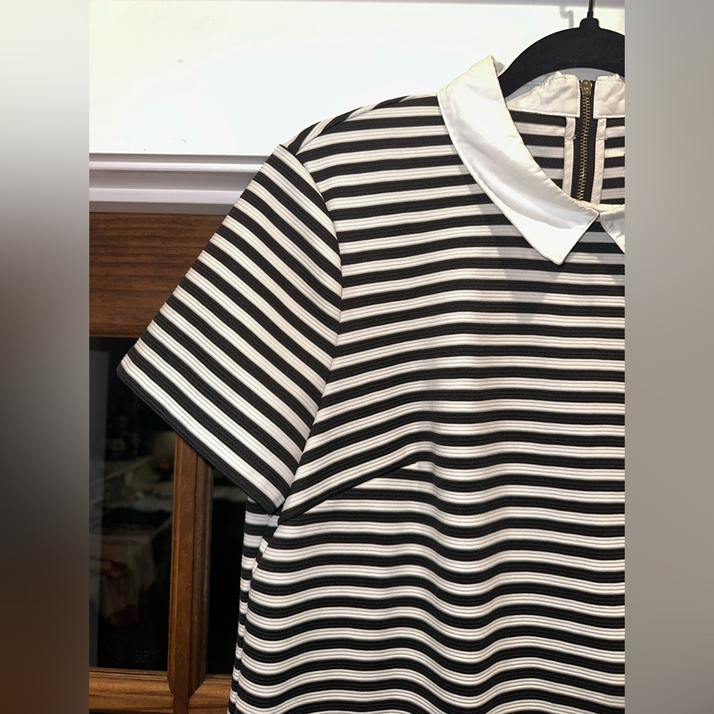 EUC Tommy Hilfiger Size Large Striped Black and White Collar Dress - Picture 3 of 11